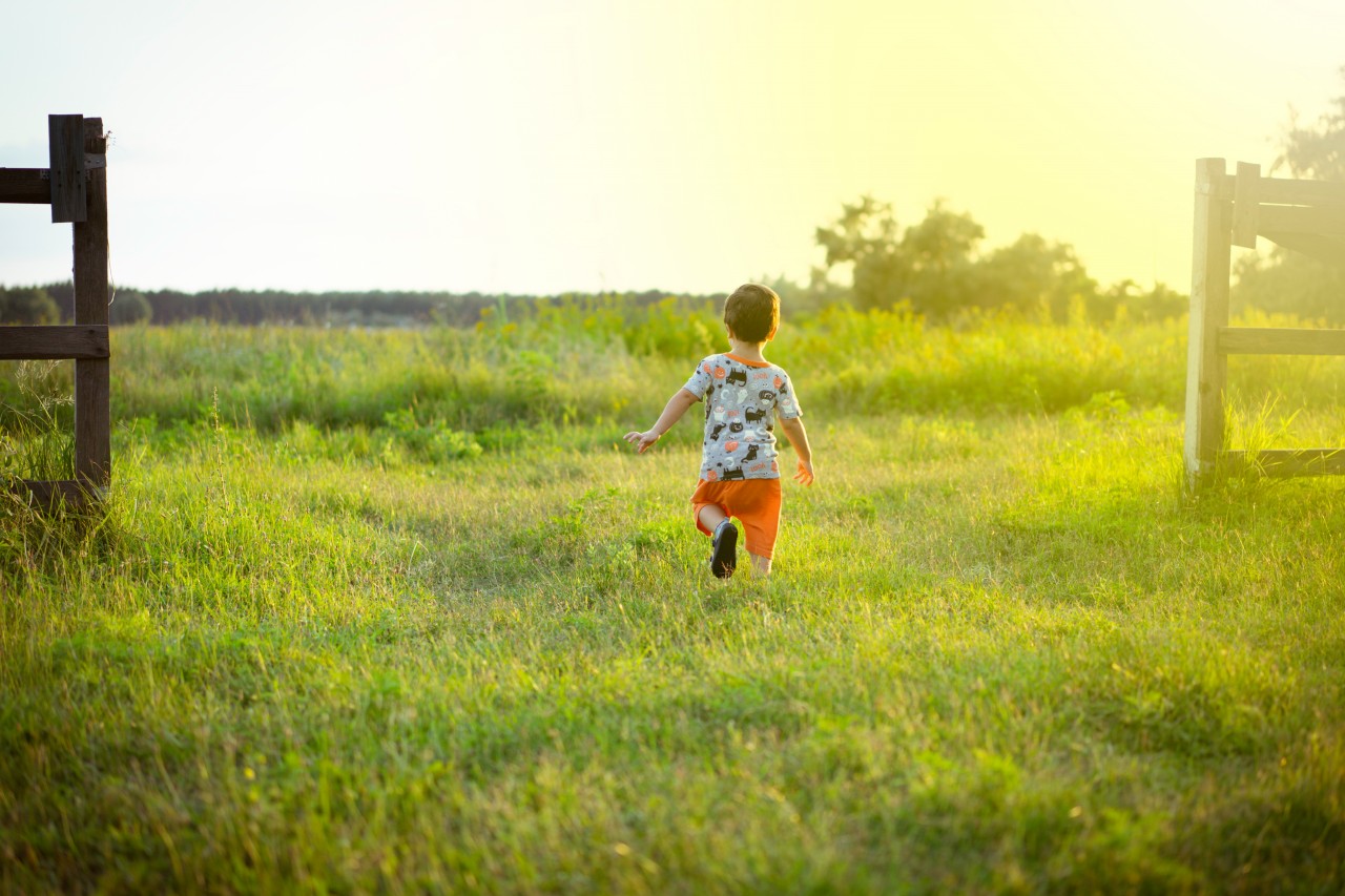 A Child Runs Along the Green Grass at Sunset