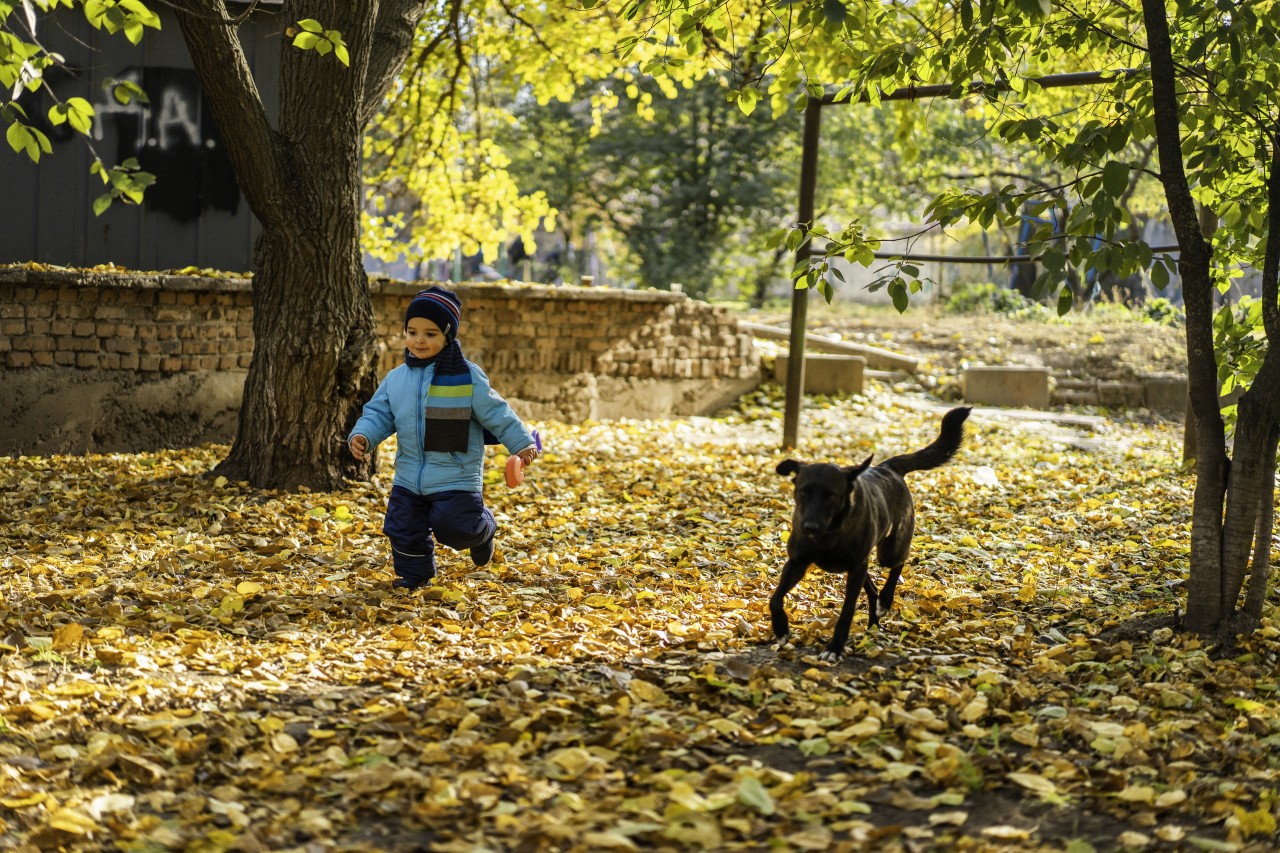 Happy kid with dog in the autumn park