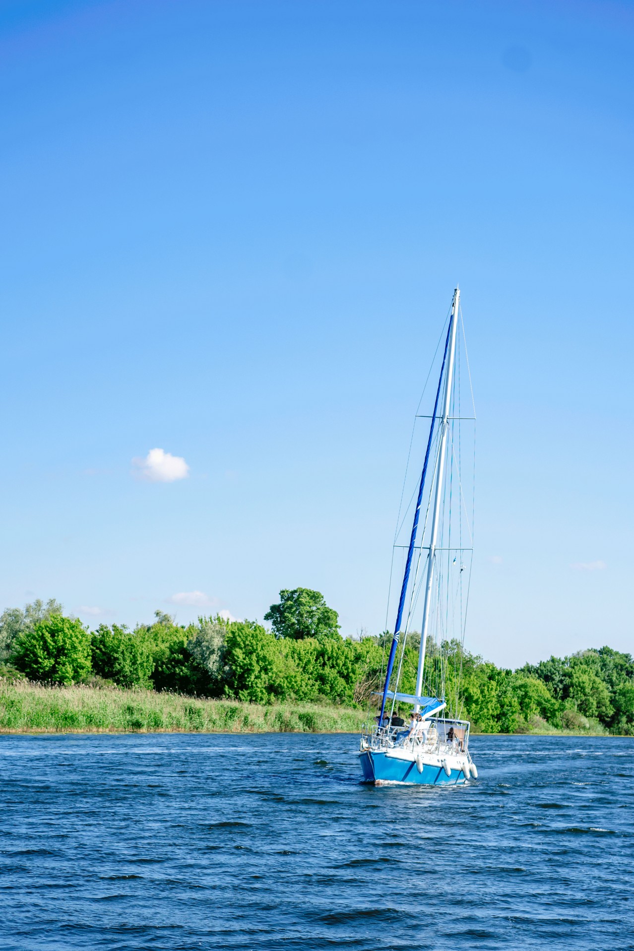 Sailing Boat on the Background of the Summer Landscape