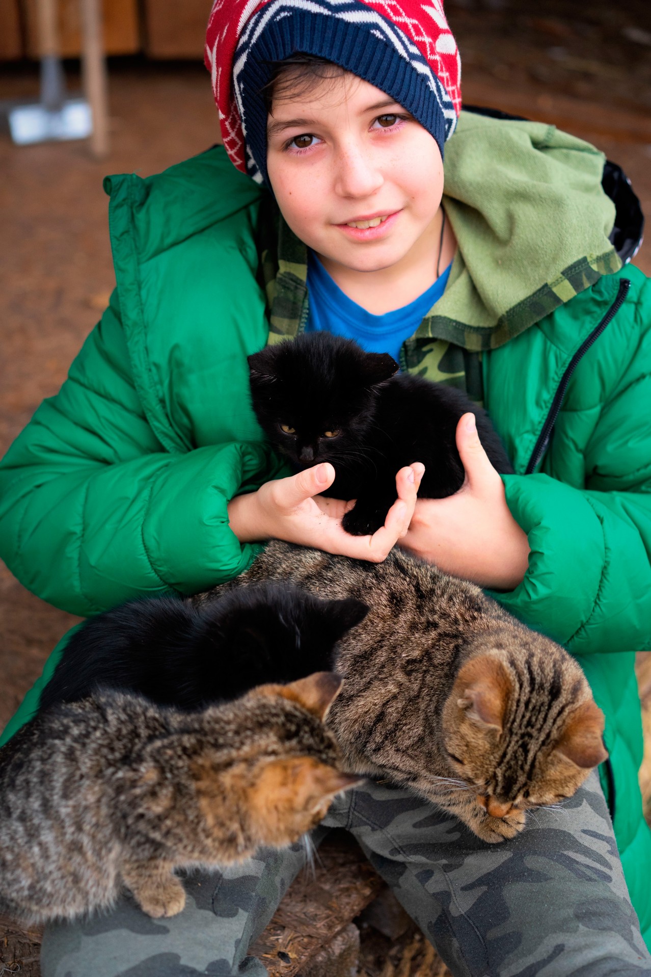 Smiling boy with cats and kittens