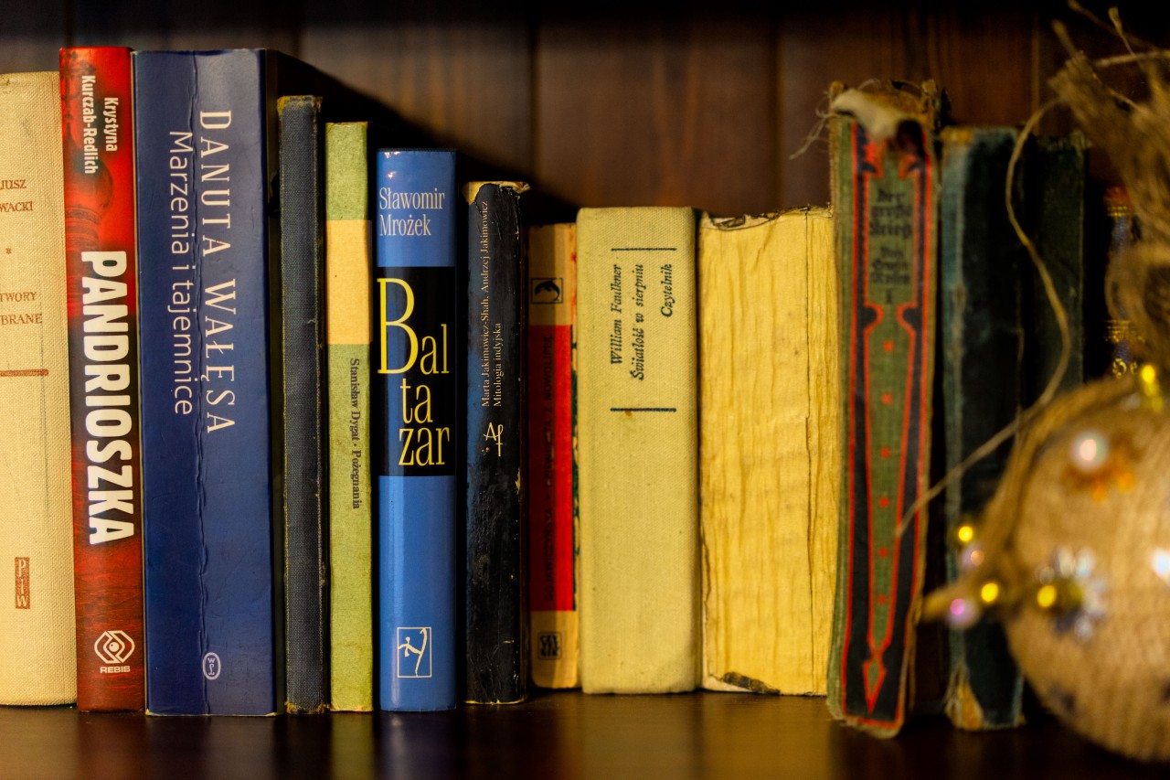 Shelf with Books