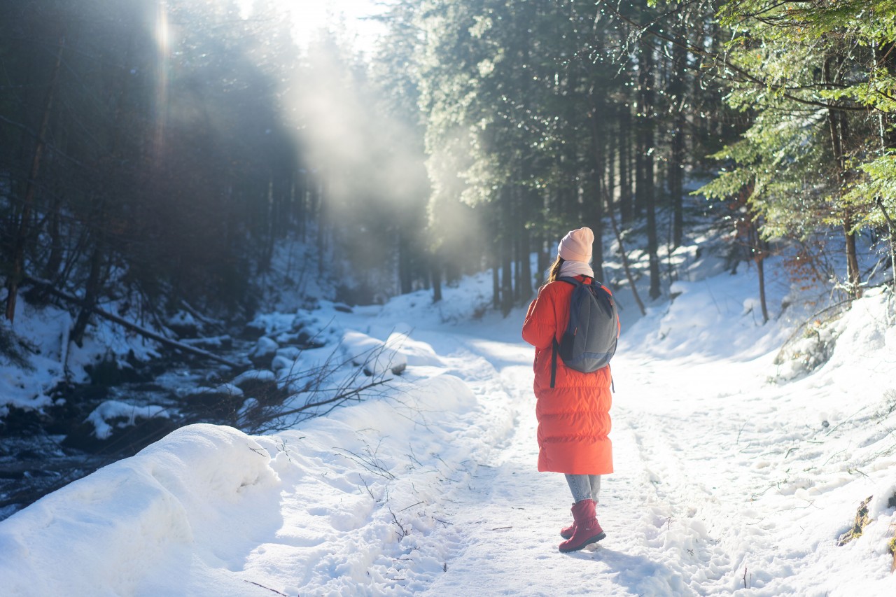 Winter Carpathian Fairy Tale