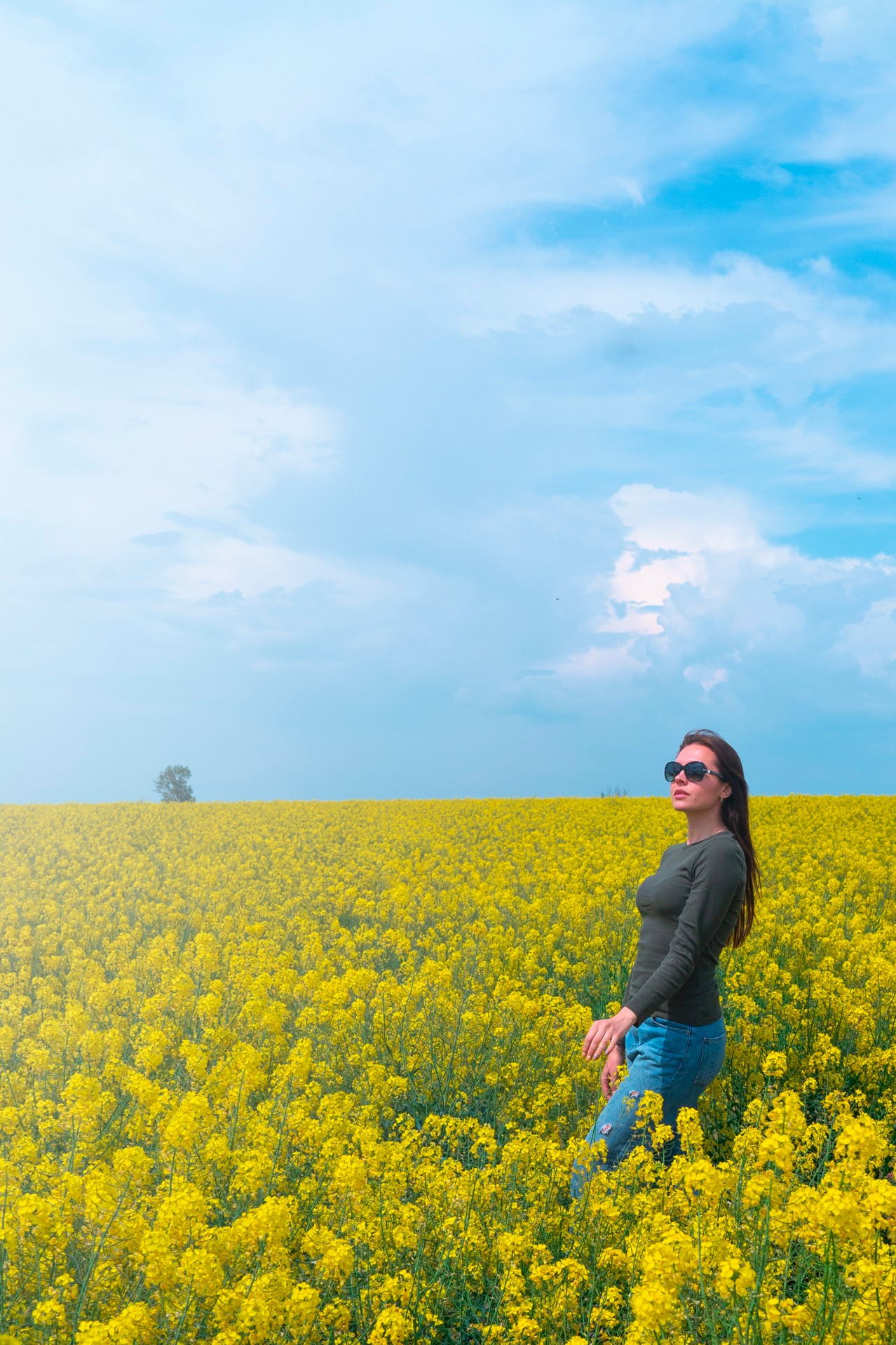Young Brunette Woman in a Blooming Field 