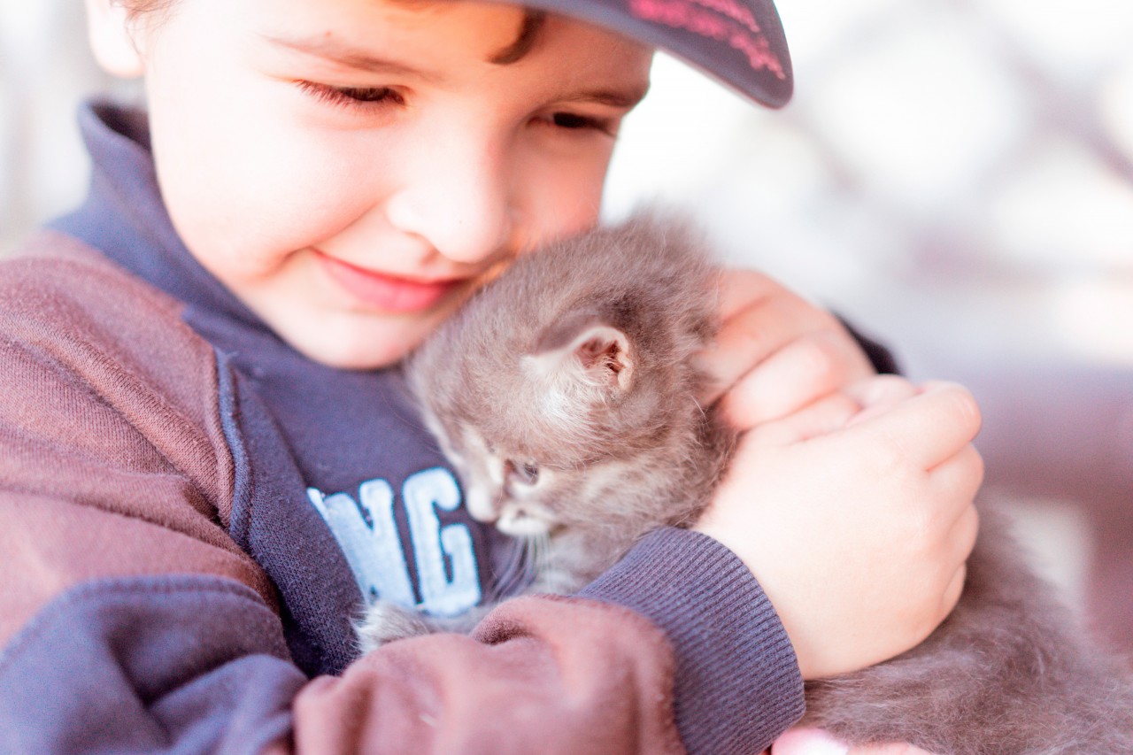Smiling kid holding a kitten