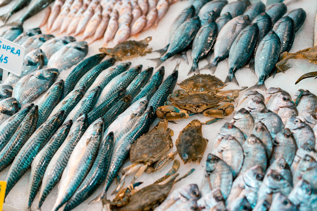 Fresh seafood at the Turkish market