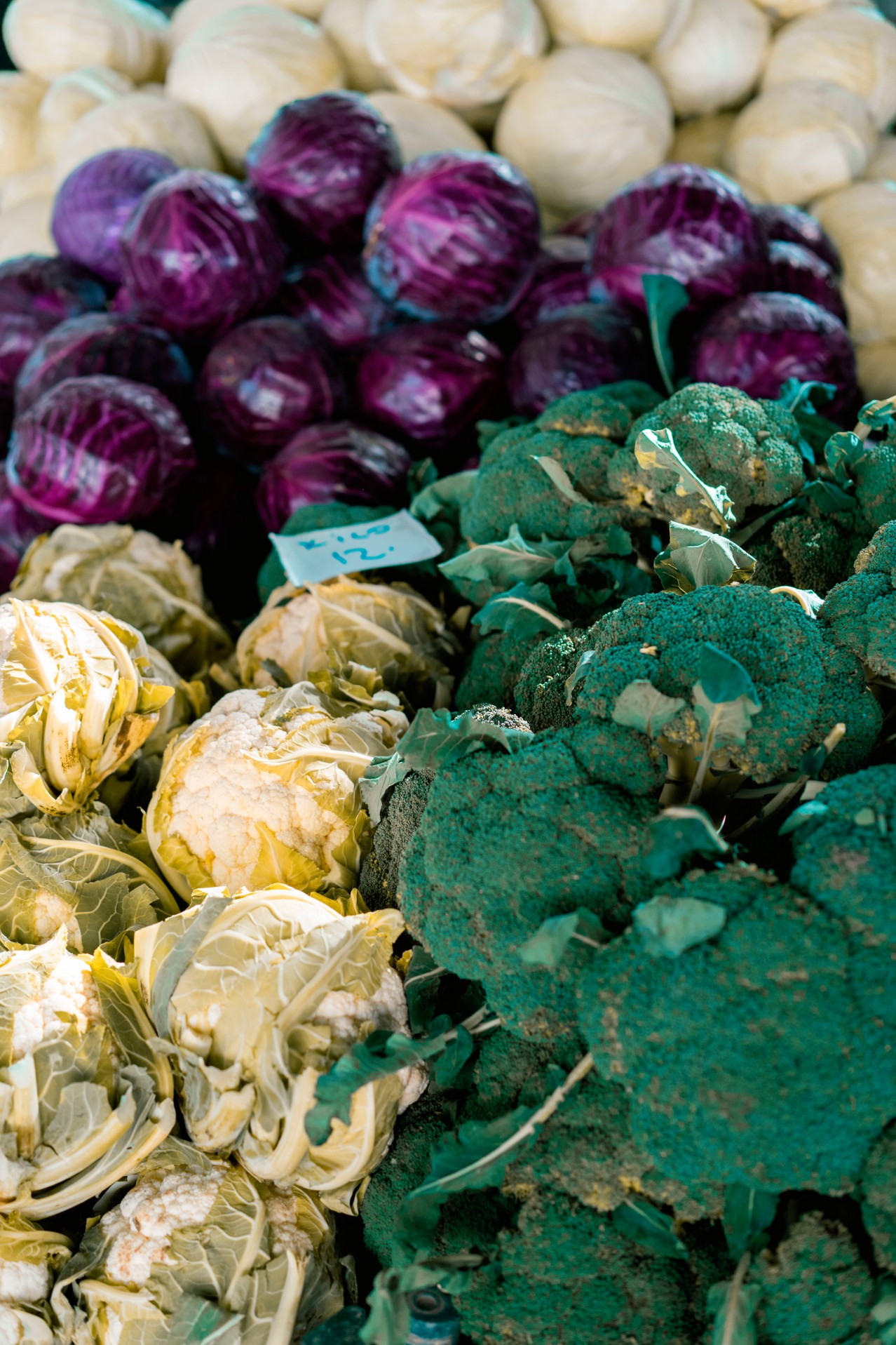 Vegetable texture with different varieties of cabbage