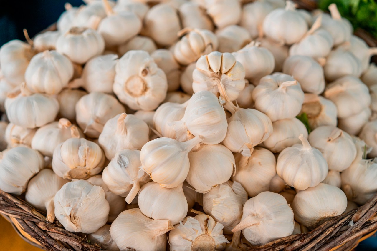 Ripe garlic at the farmer market