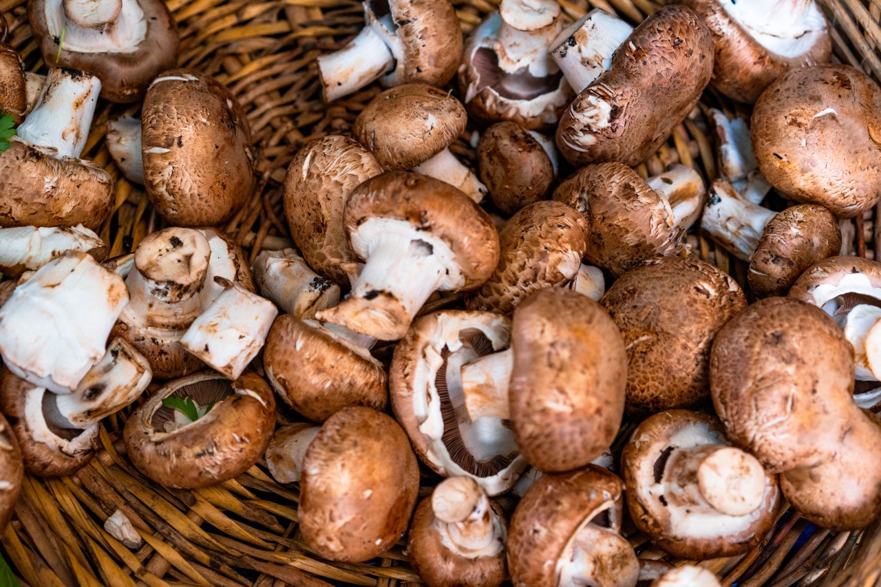 Fresh mushrooms at the Turkish market