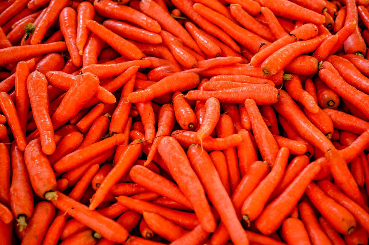 Bright carrot background