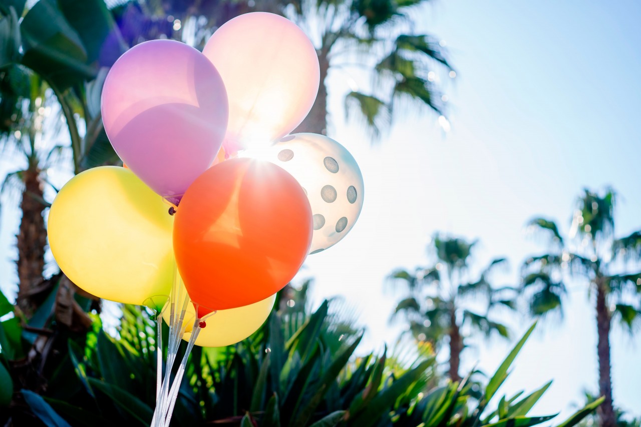 Colorful party balloons on summer background