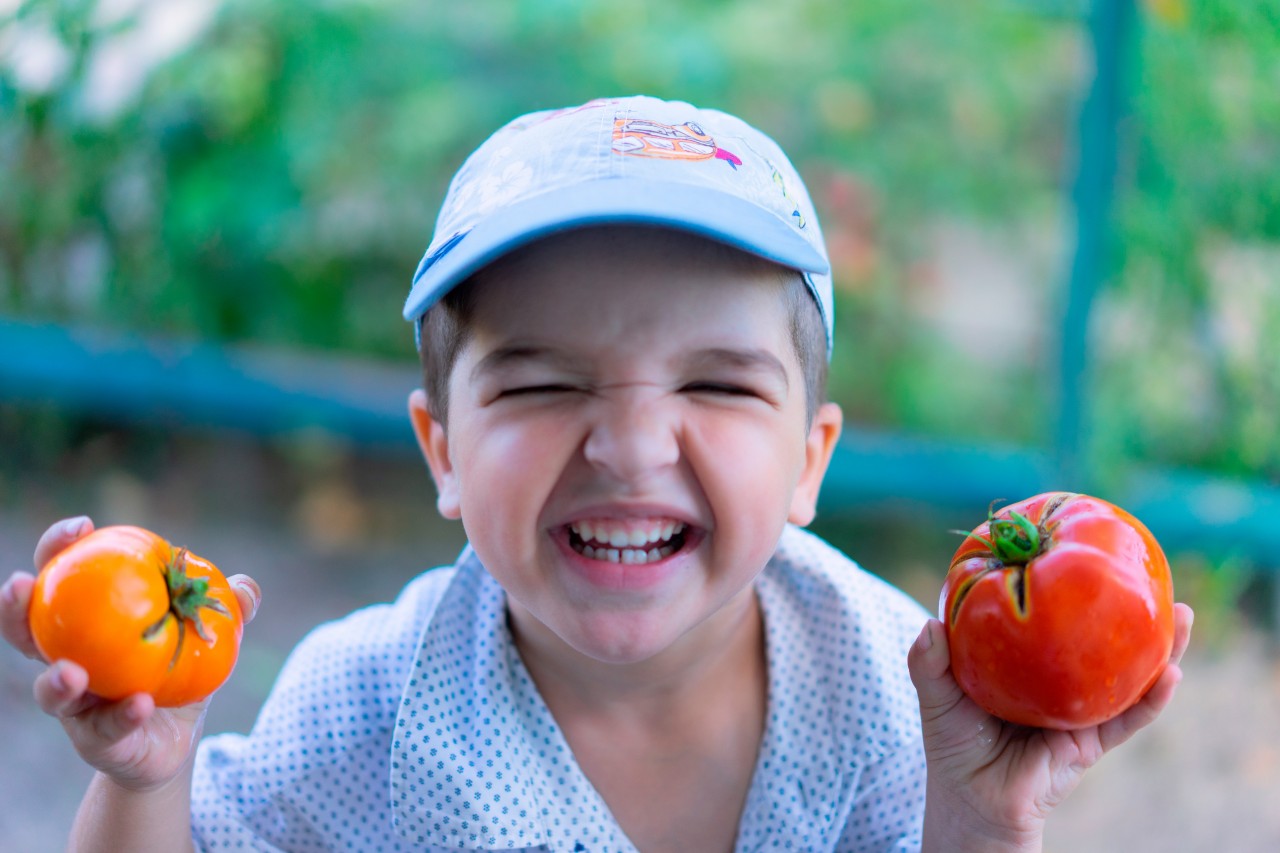 A Little Boy Holds Tomatoes in his Hands