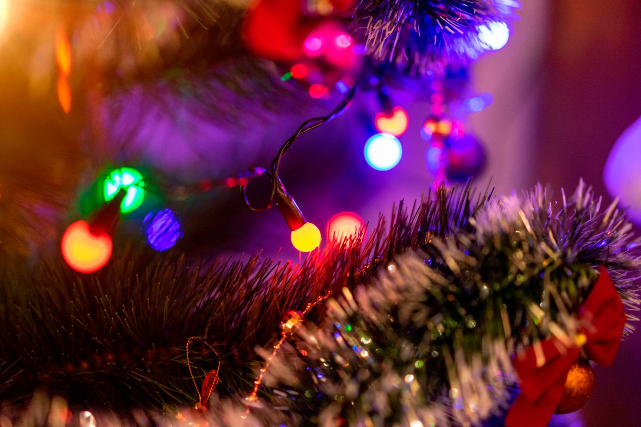Close-up view of a Christmas tree with garland