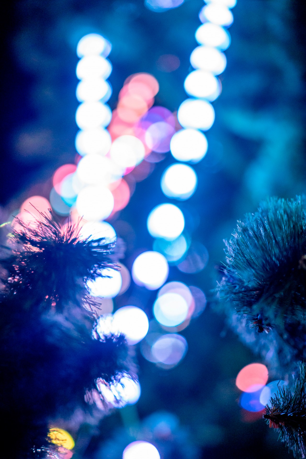 Christmas tree on the blurred dark background