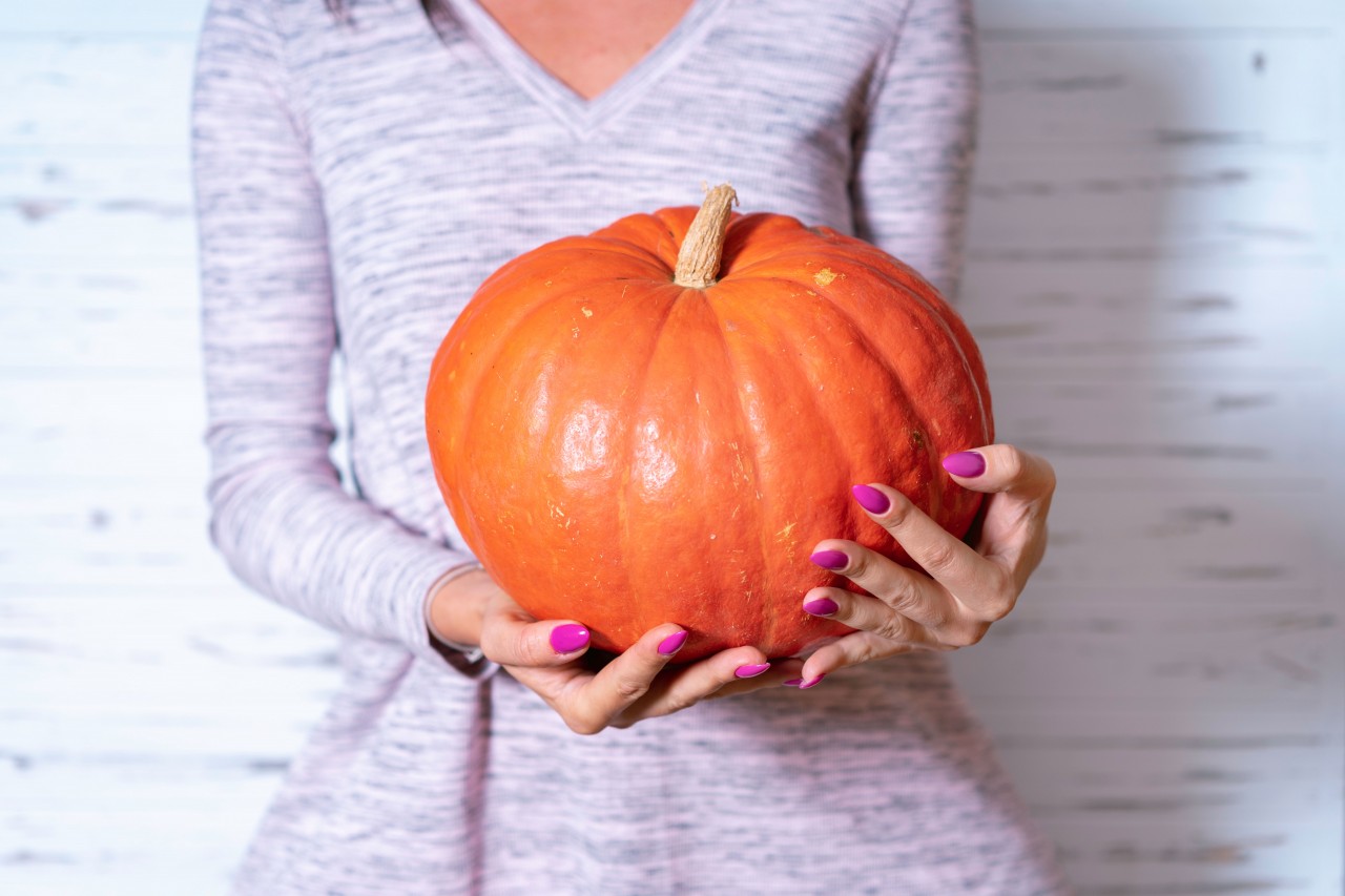 Colorful Pumpkin in the Female Hands