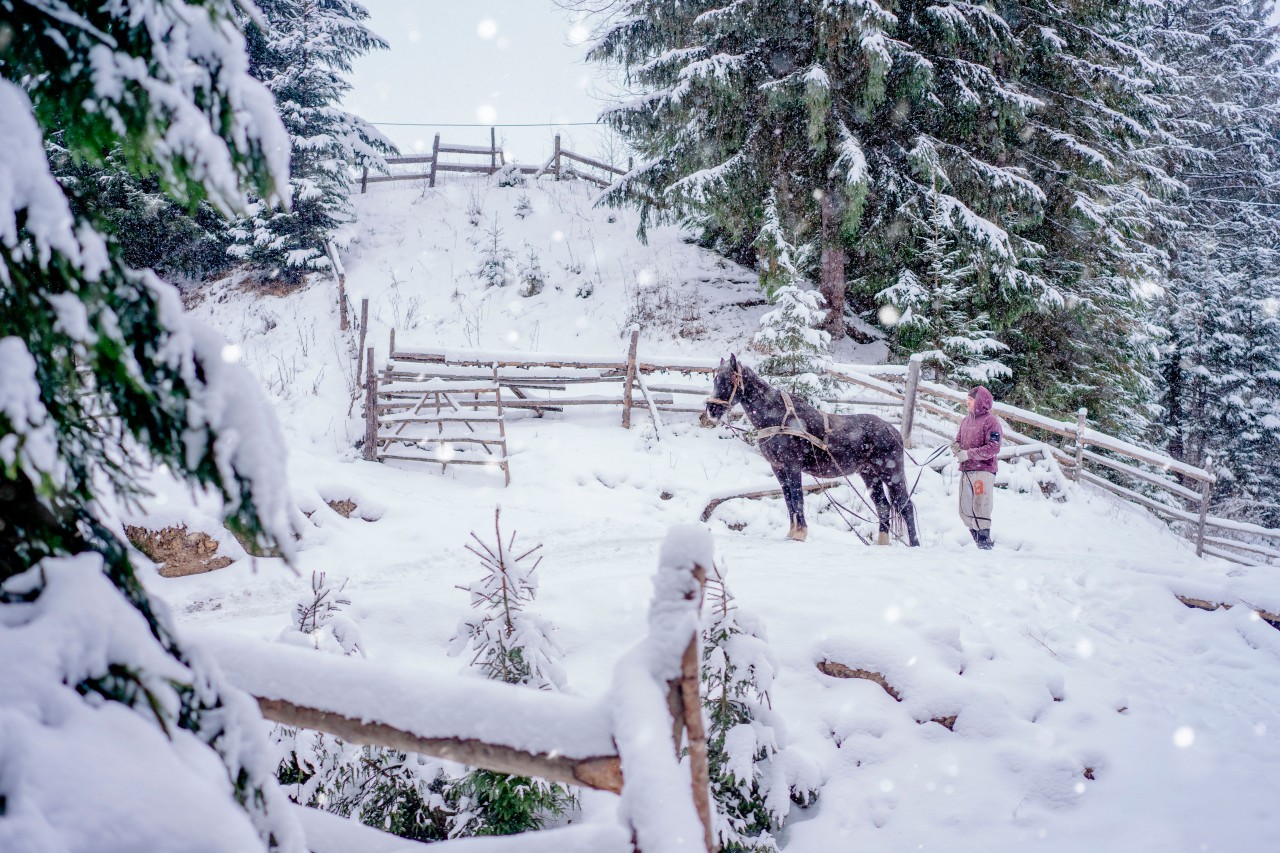 Man with a horse in the scenic winter village