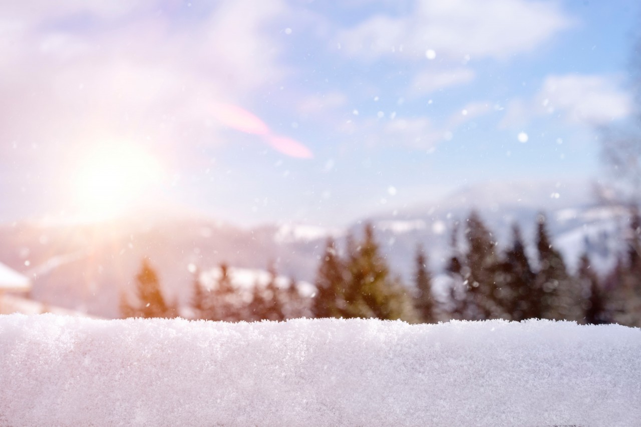 Winter wallpaper with blurred nature background