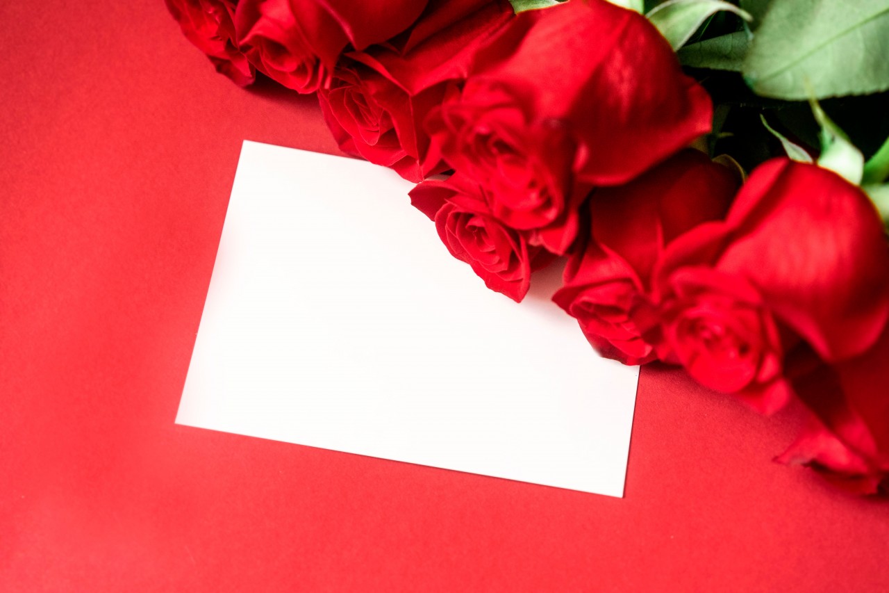 Beautiful Red Roses with a White Card
