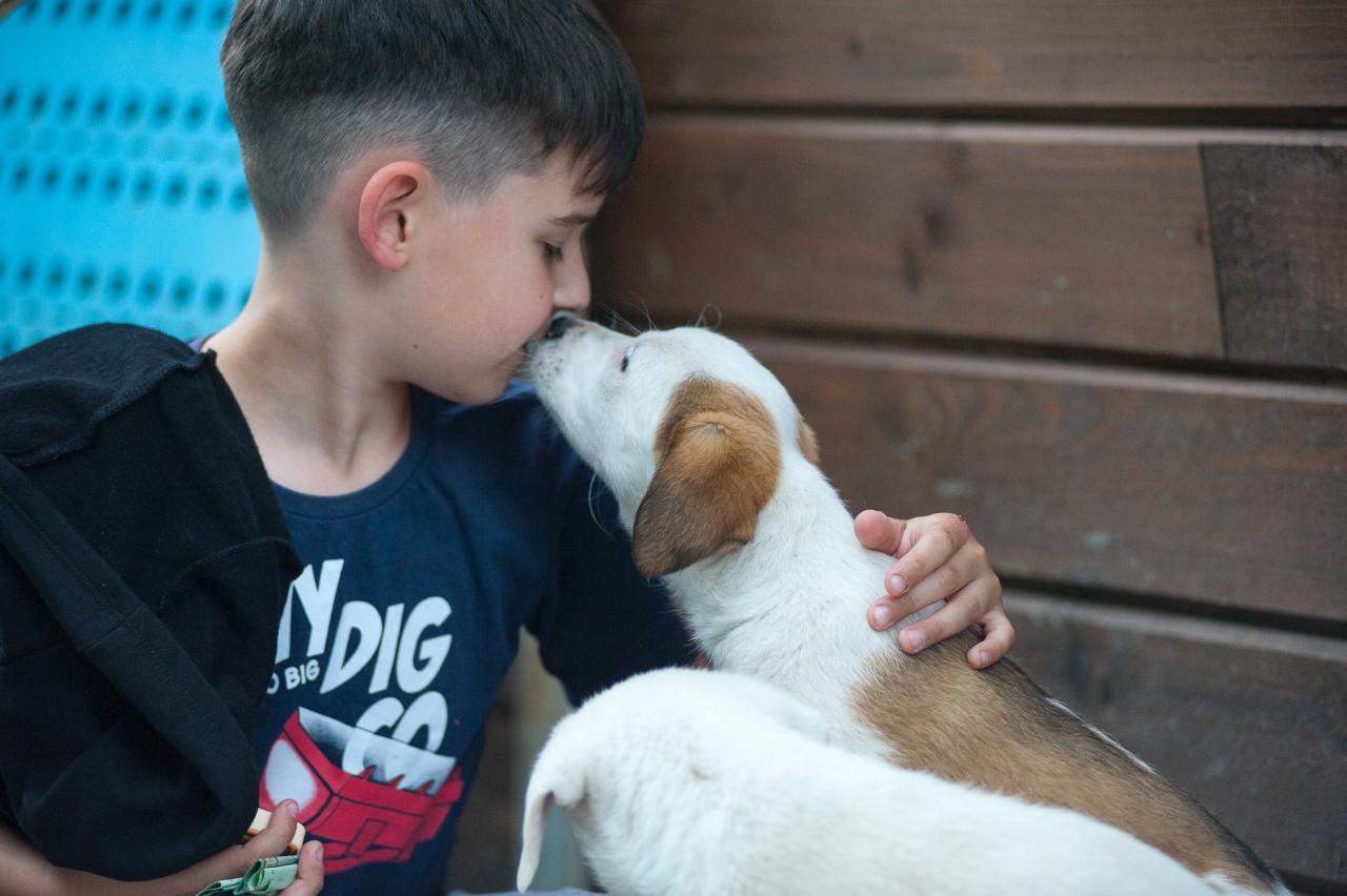 Boy kisses cute puppy